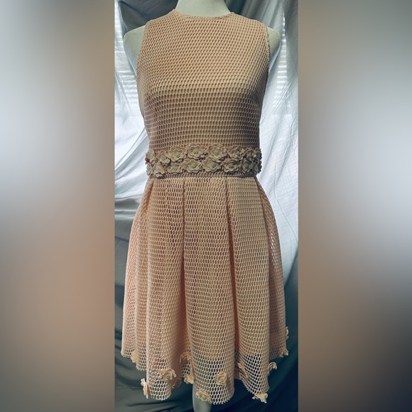 Forever 21 Dresses & Skirts - Forever 21 Mesh Floral Midi Dress in Soft Pink
